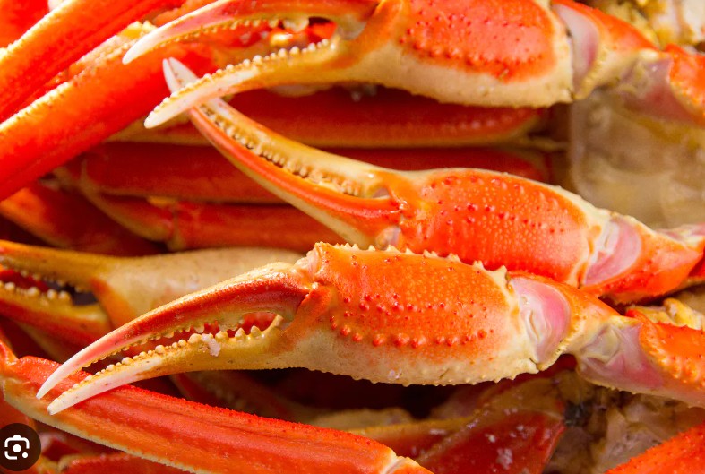 Crabe de saison de la Gaspésie