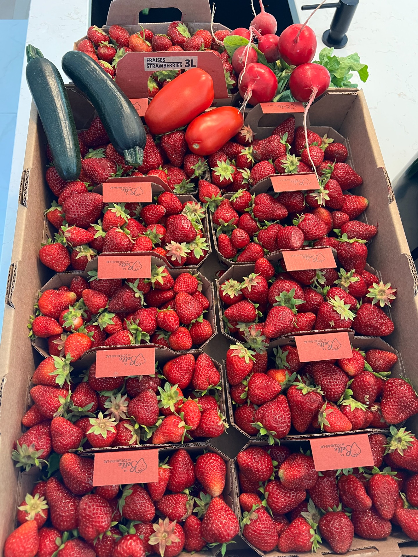 Les fraises de la ferme La Belle Coteau-du-Lac - 75 route 201